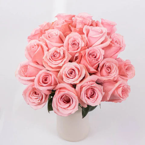 Be Sweet Rose