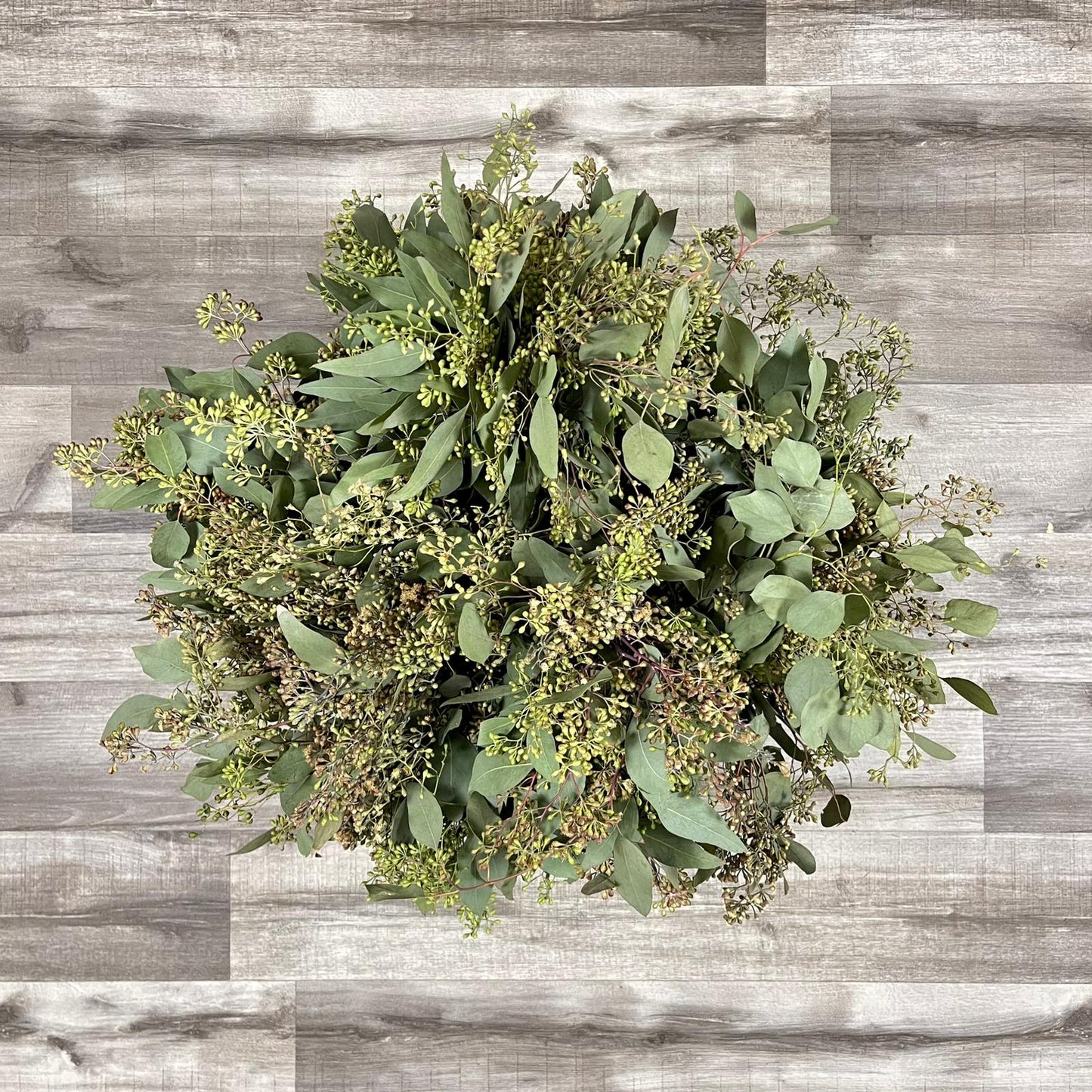 Seeded Eucalyptus Bundle – Fresh Greenery