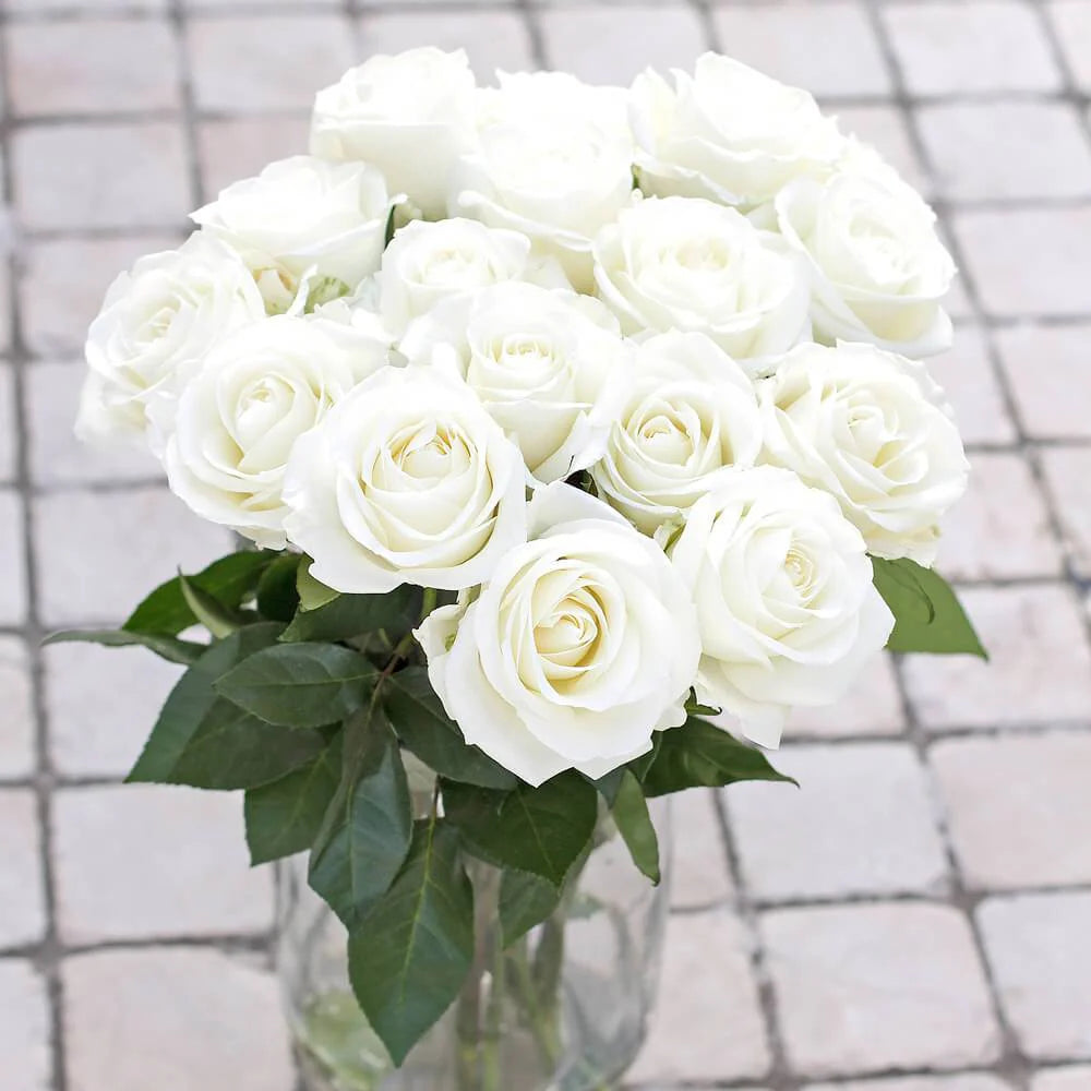 Tibet Ecuadorian Roses – 25 Stems