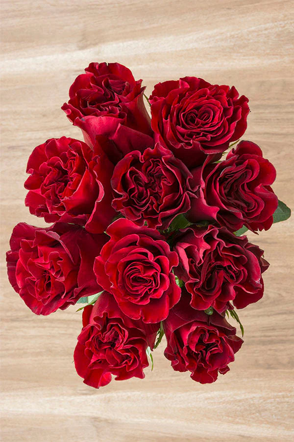 Hearts Ecuadorian Roses – 25 Premium Stems